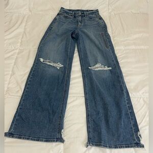 New American Eagle Sz 000 Regular/ 23w CURVY DREAMY BAGGY WIDE LEG High Rise